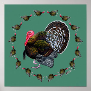 Póster Círculo de Turquía