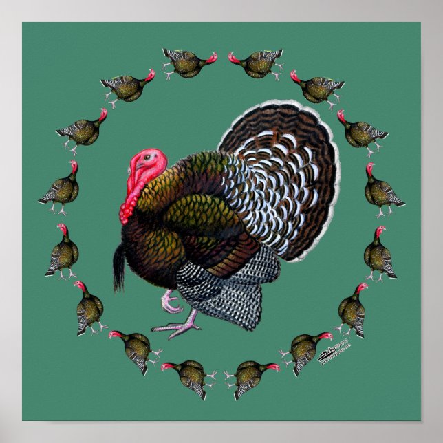 Póster Círculo de Turquía (Frente)