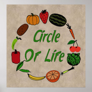 Póster Círculo De Vida