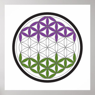 Póster círculos sagrados de genderQueer