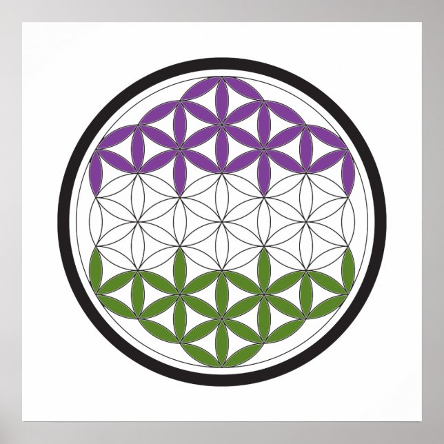 Póster círculos sagrados de genderQueer (Frente)