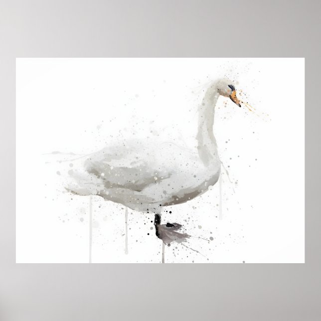 Póster Cisne (Frente)