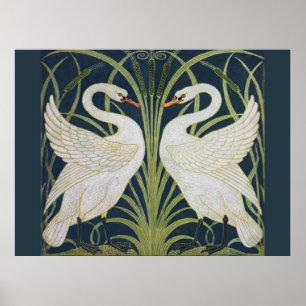 Póster Cisne Art Nouveau Dos Cisnes 