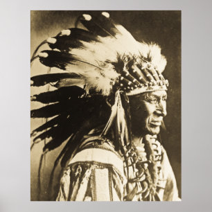 Póster Cisne blanca Sioux Jefe nativo americano