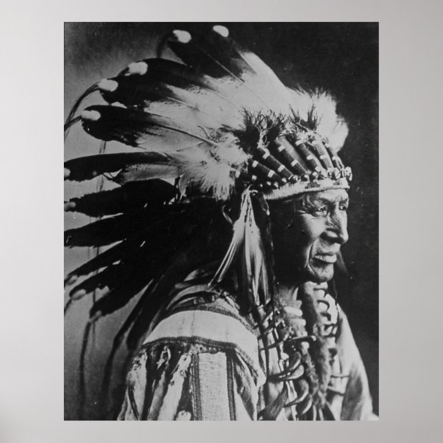 Póster Cisne blanca Sioux Jefe nativo americano (Frente)