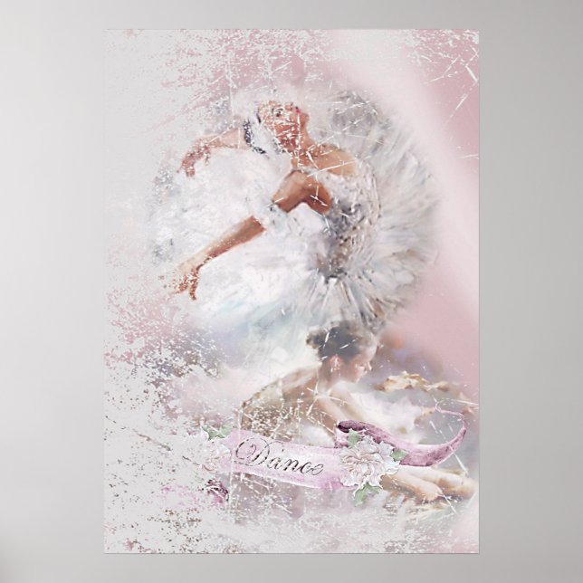 Póster Cisne blanco y amigo (Frente)