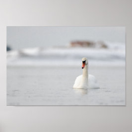 Póster Cisne en un poster de un paisaje marino congelado