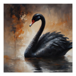 Póster Cisne negra 3