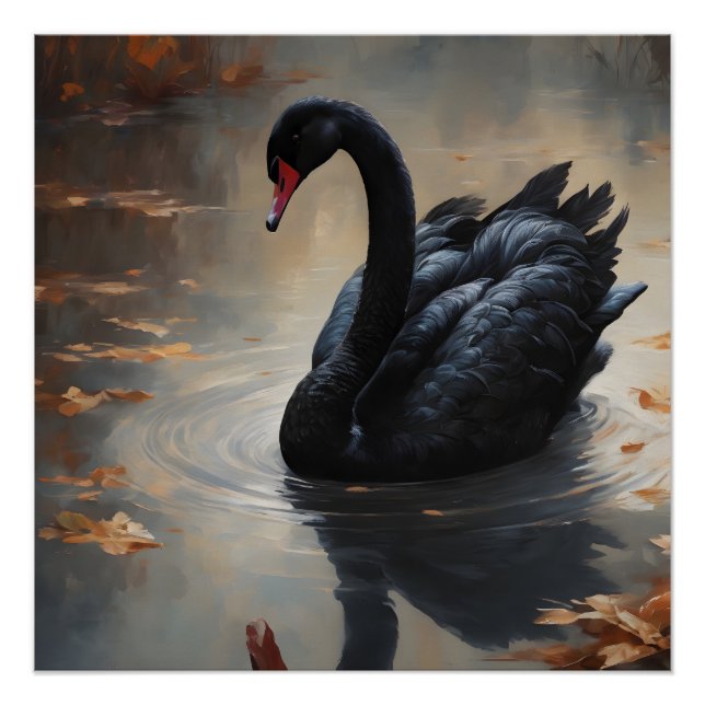 Póster Cisne negra no 8 (Anverso)
