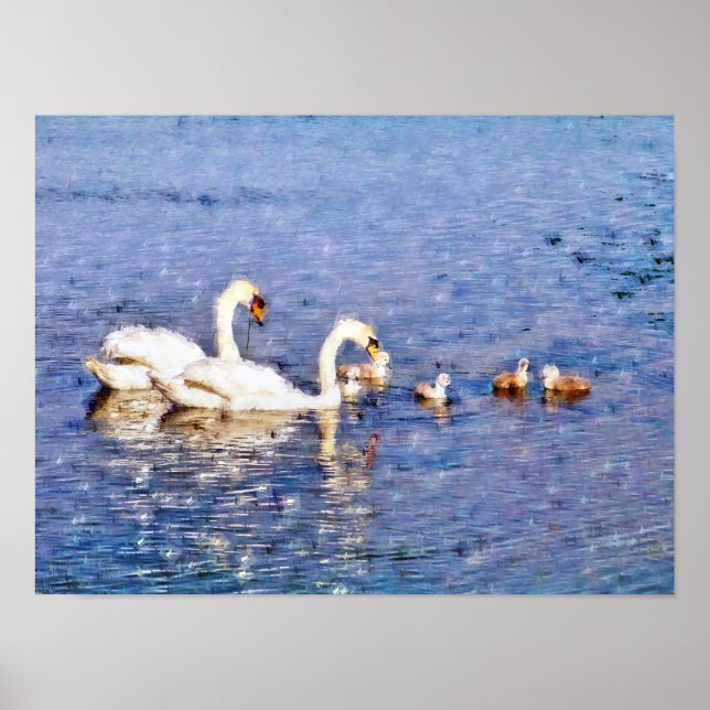 PÓSTER CISNES (Frente)
