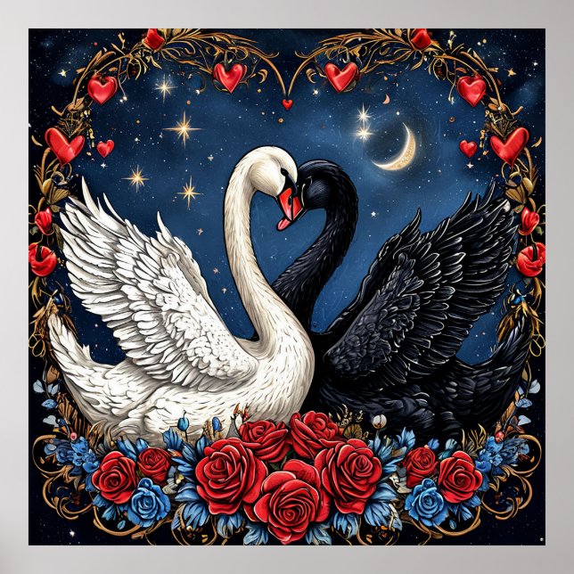 Póster Cisnes blancas y negras con corazón y Rosas (Frente)