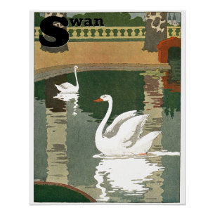 Póster Cisnes en el alfabeto del lago carta perfecta
