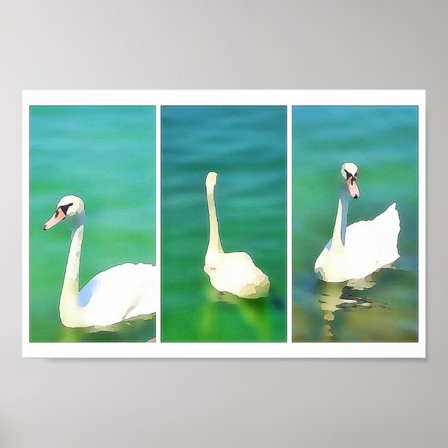 Póster Cisnes en el Lago Balaton - tríptico (Frente)