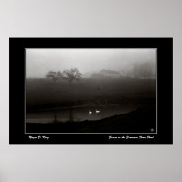 Póster Cisnes en el Poster de la granja Scamman Pond