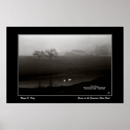 Póster Cisnes en el Poster de la granja Scamman Pond - co