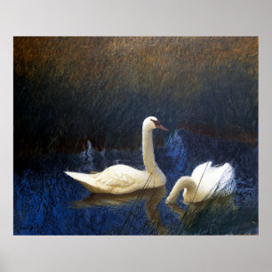 Póster Cisnes en Leche (1907)