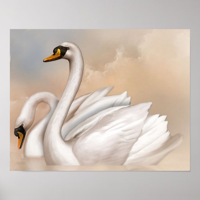 Póster Cisnes En Un Lago (Frente)
