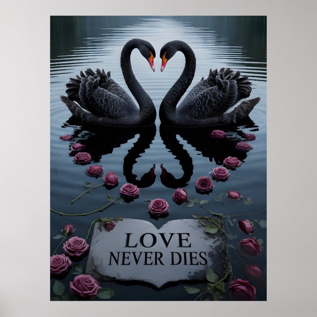 Póster Cisnes negros románticos reflejando corazón con te (Frente)