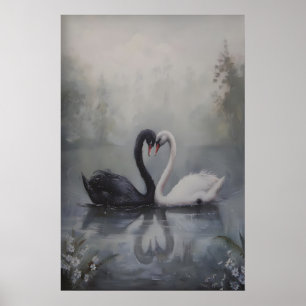 Póster Cisnes negros y blancos en el oscuro lago brumoso