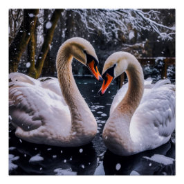 Póster Cisnes románticos en un país maravillosamente inve