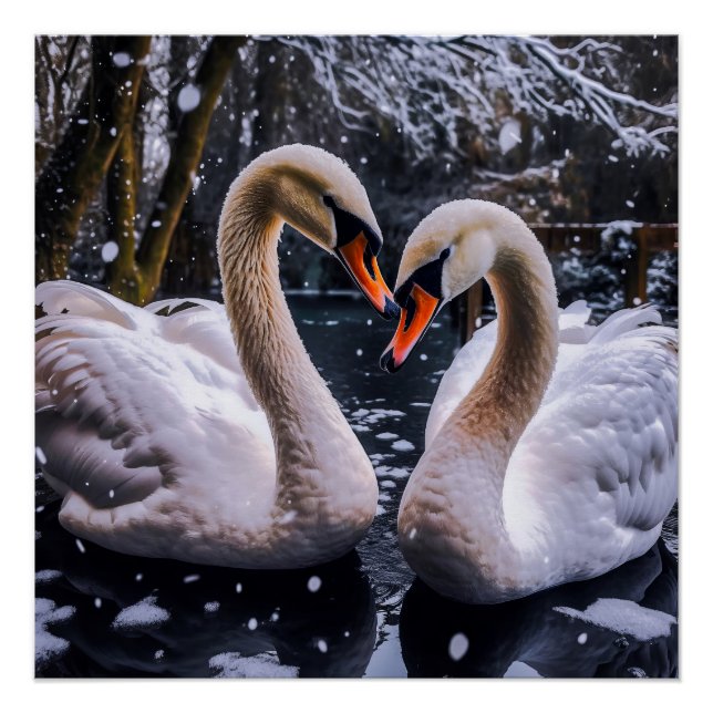 Póster Cisnes románticos en un país maravillosamente inve (Anverso)