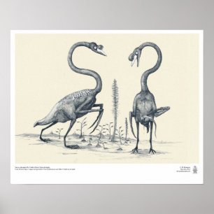 Póster Cisnes según lo imaginado por los Palaeontologists