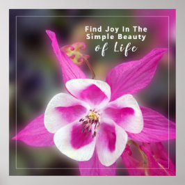 Póster Cita con foto de flor de Columbina