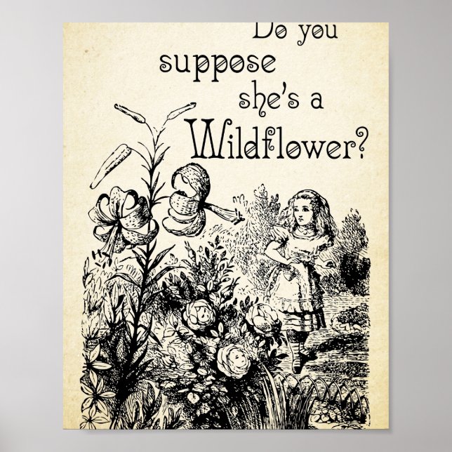 Póster Cita de Alice in Wonderland - Shes a Wildflower -  (Frente)