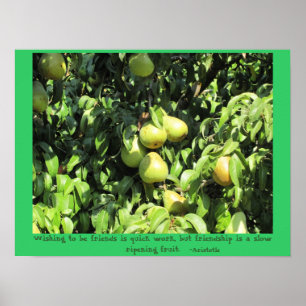 Póster Cita de amistad de Aristóteles