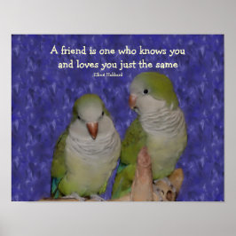 Póster Cita de amistad de pares de loro de Quaker