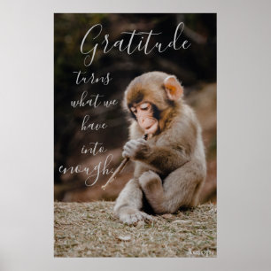 Póster Cita de Gratitud de Aesop, mono