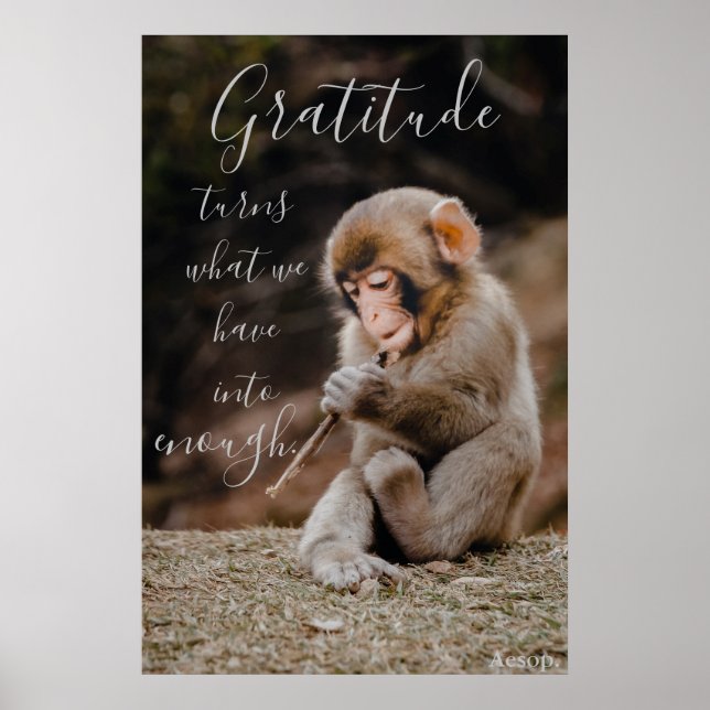 Póster Cita de Gratitud de Aesop, mono (Frente)