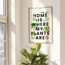 Cita de jardinería de plantas de interior en acuar