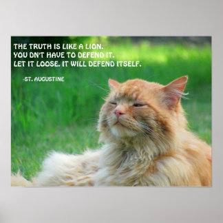 Póster Cita de la verdad de St. Augustine Ginger Cat