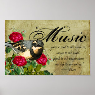 Póster Cita de música, pájaro zorzal y rosas, violín vint