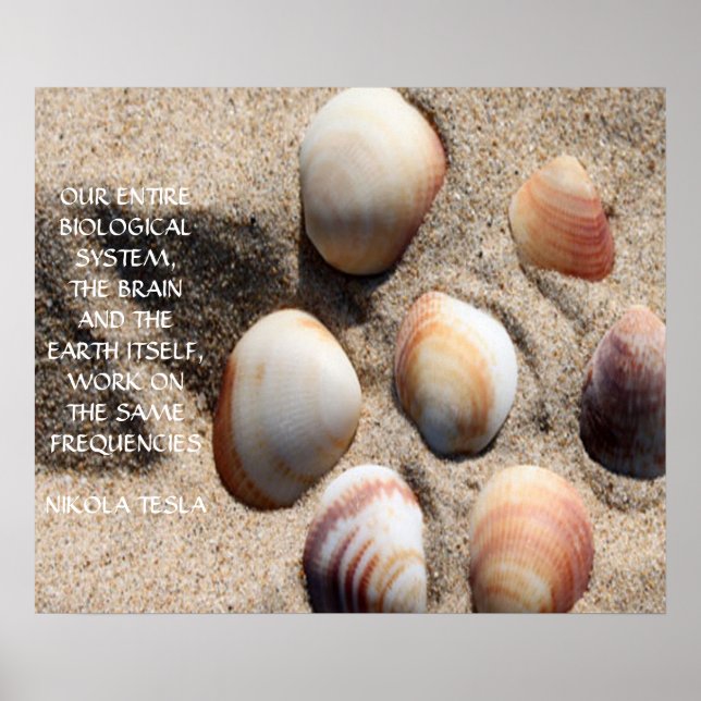 PÓSTER CITA DE NIKOLA TESLA - MISMAS FRECUENCIAS - (Frente)