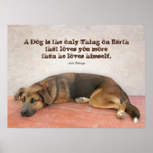 Póster Cita de perro