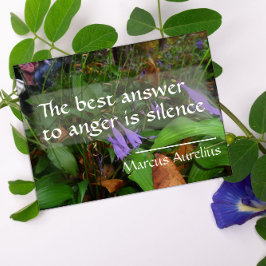 Póster Cita de sabiduría latina sobre el mejor poster de