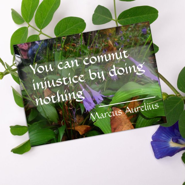 Póster Cita de sabiduría latina sobre poster de justicia (Subido por el creador)