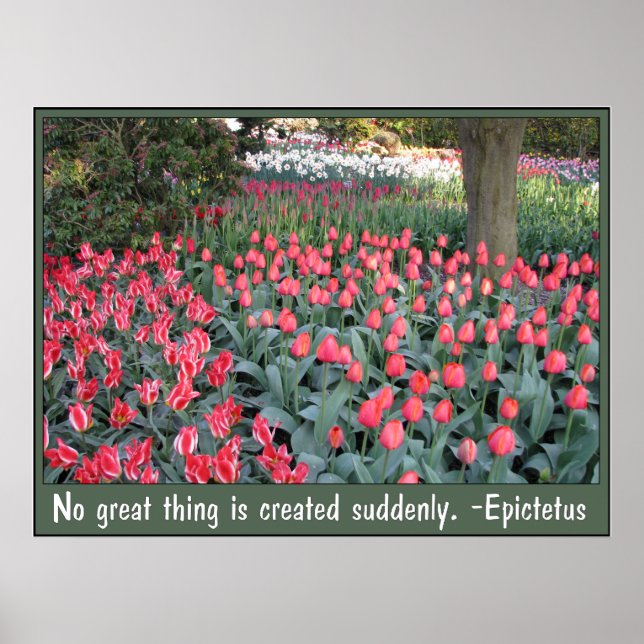Póster Cita de Tulips Epictetus Rosa (Frente)
