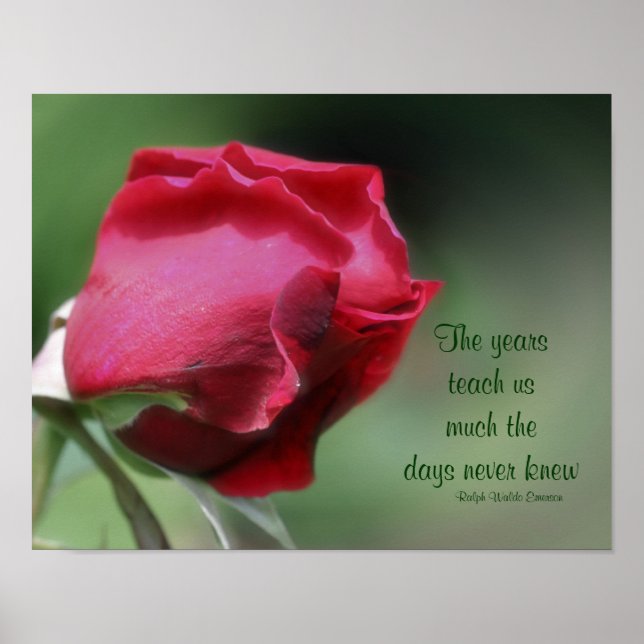 Póster Cita de Wisdom Aging Inspiradora de Rosebud (Frente)
