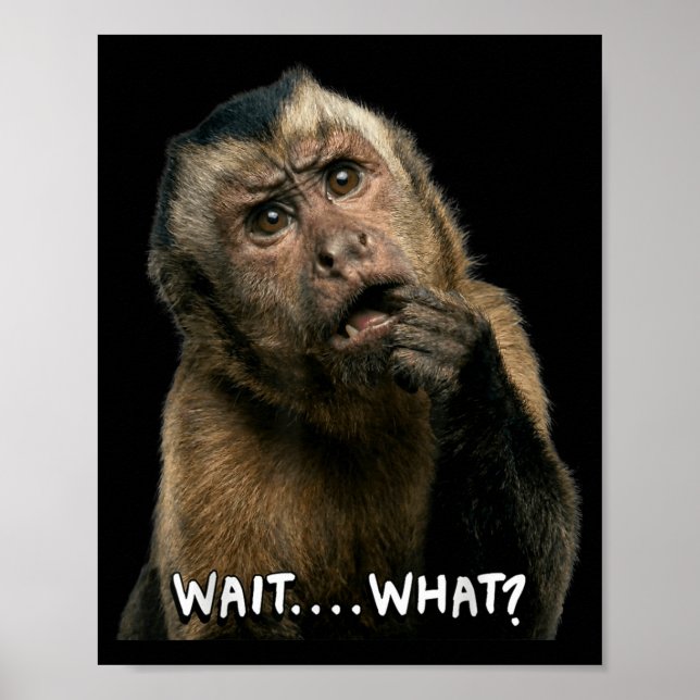 Póster Cita divertida de mono en jerga espera qué meme li (Frente)