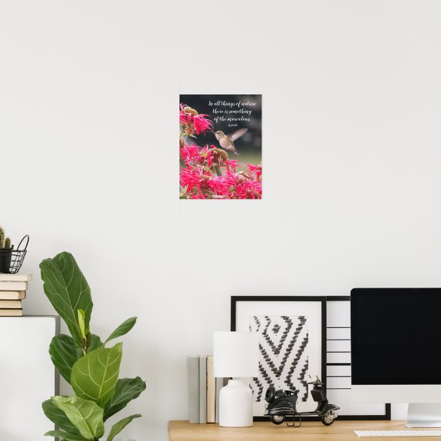 Póster Cita filosófica de Aristóteles sobre colibrí (Oficina en casa)
