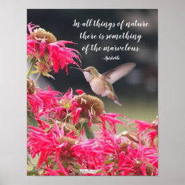 Póster Cita filosófica de Aristóteles sobre colibrí