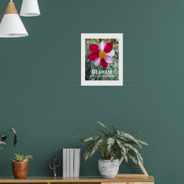 Póster Cita floral 'Florece donde estás plantado'