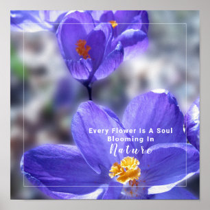 Póster Cita fotográfica de Crocus Purple