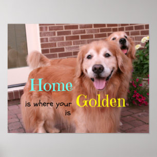 Póster Cita inicial de Golden Retriever