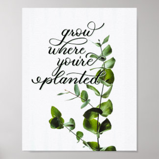 Póster Cita Inspiradora de "Grow Where You are Planted"