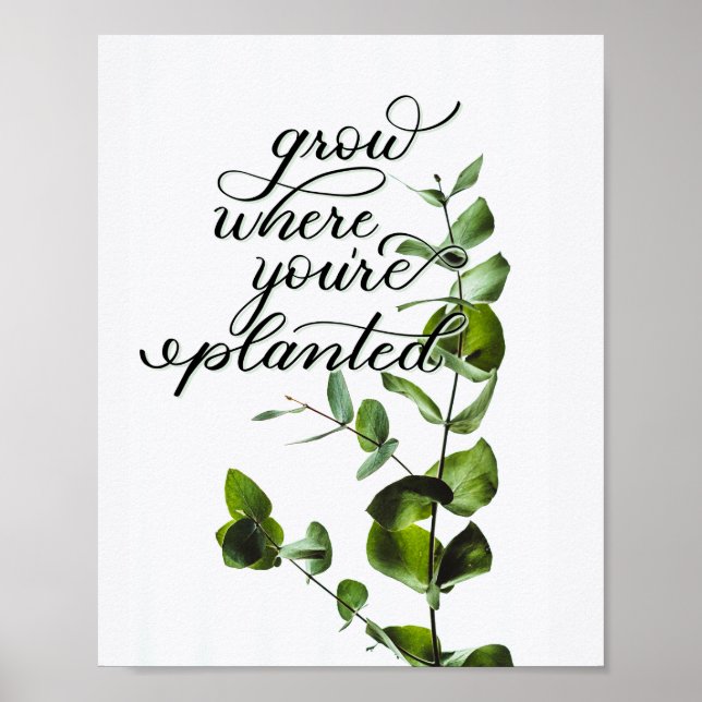 Póster Cita Inspiradora de "Grow Where You are Planted" (Frente)