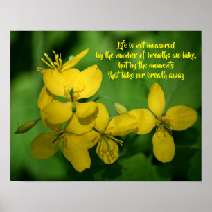 Póster Cita inspiradora de la vida Flores silvestres